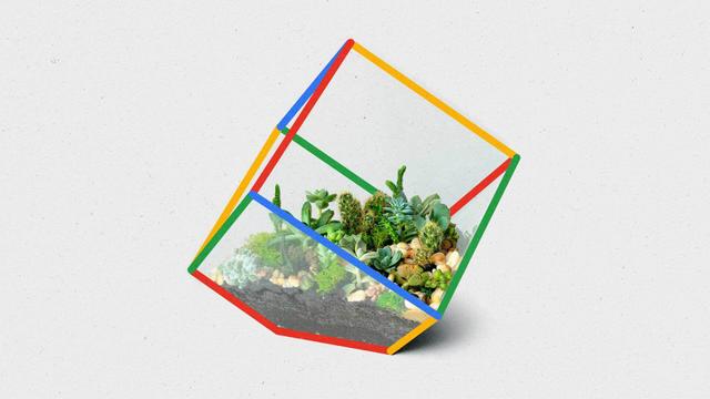 Glass cube succulent terrarium lined with red, yellow, blue and green.