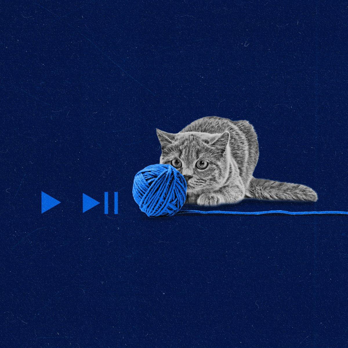 A cat playing with a ball of yarn made to look like the playbar on a screen.