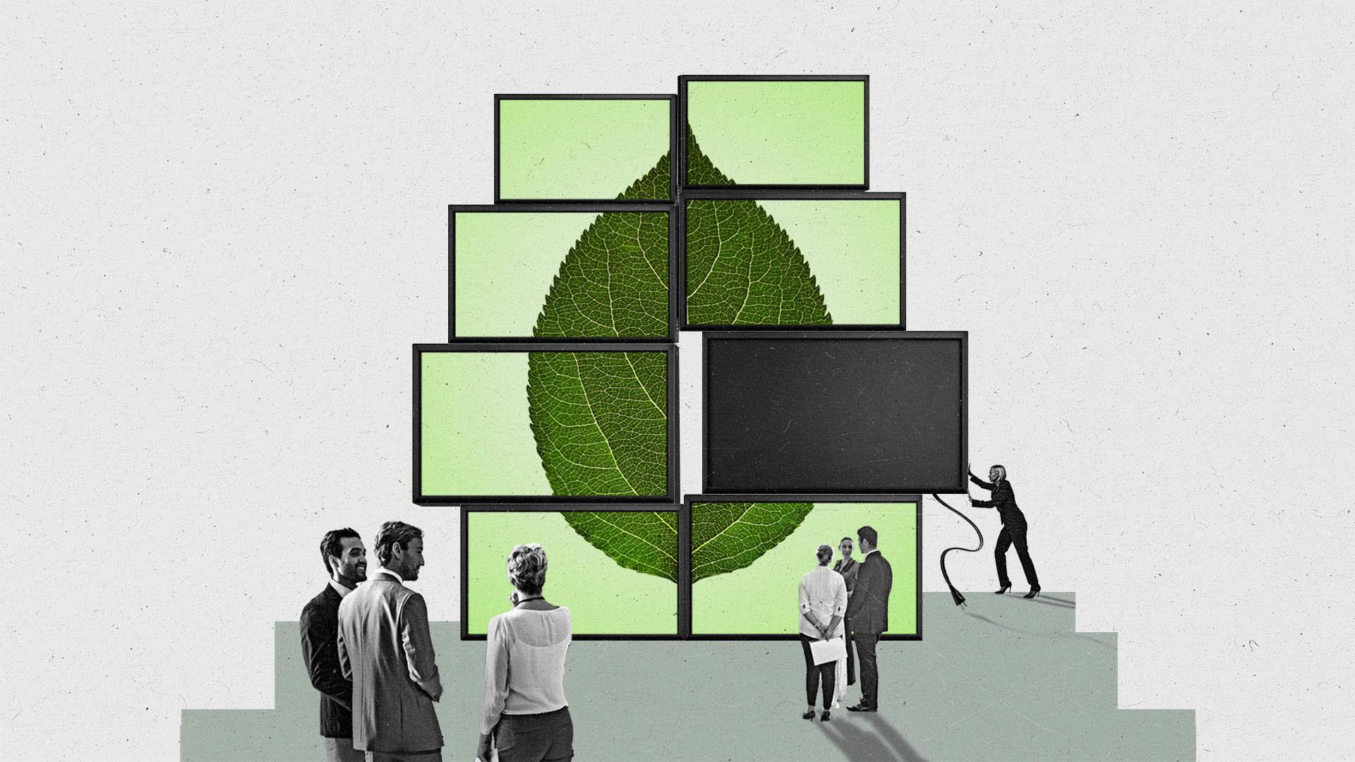 A person completes a set of connected TVs on a peak that combine to depict a leaf as people mingle closely around it.