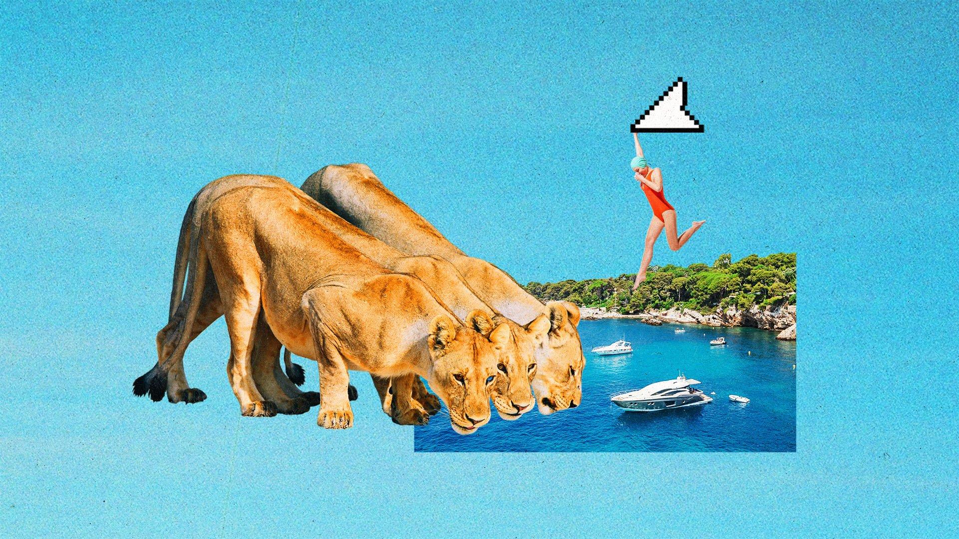 Three lionesses bending down to drink for a mediterranean bay with yachts. A woman with a swim cap is held over the water by a pixelated cursor.