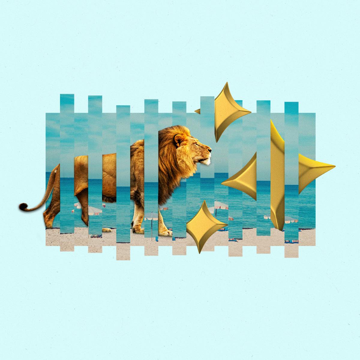 A lion walks through a beach with gold stars.