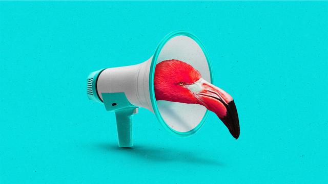 A flamingo head emerging from the center of a turquoise megaphone.
